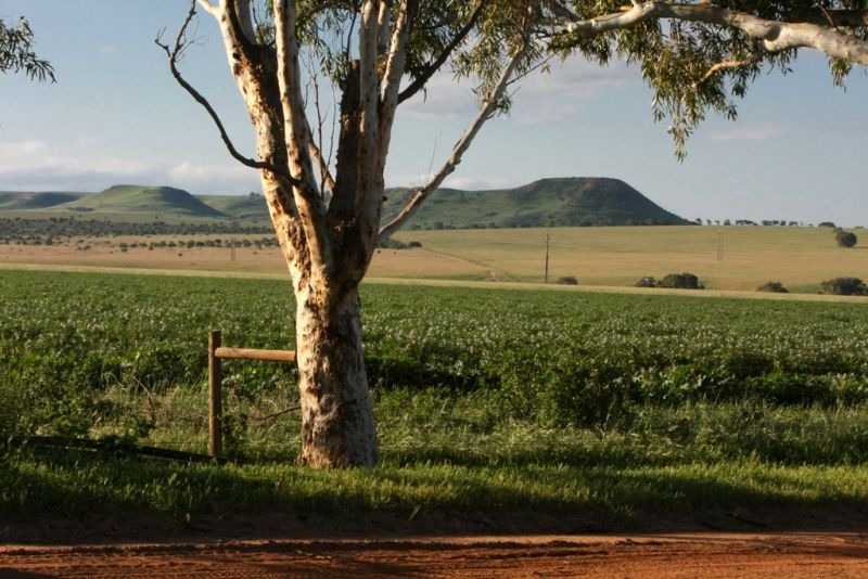 Lot 360 Dorset Drive, DEEPDALE, WA 6532