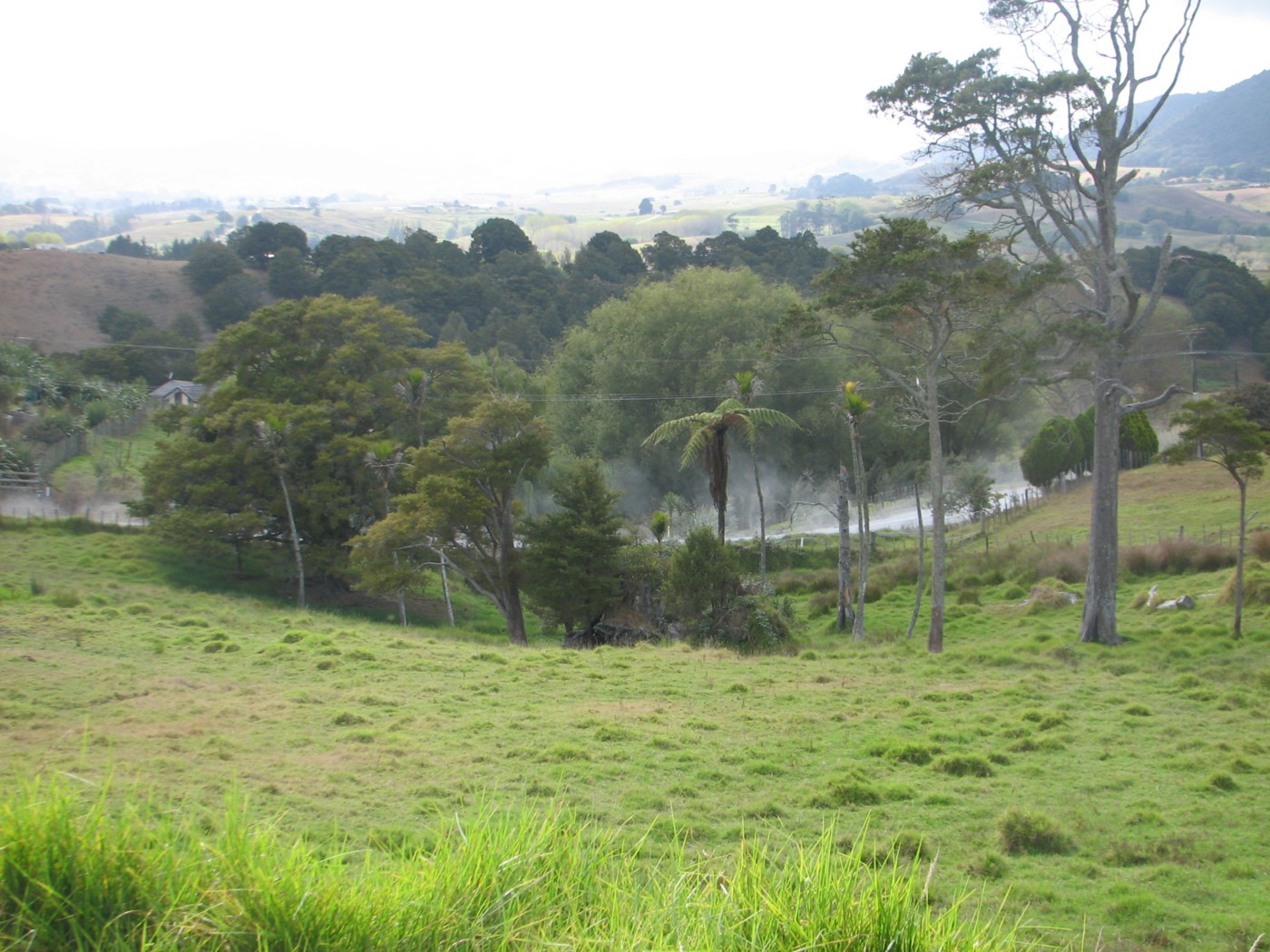 34 Whaka Street, MAUNGATUROTO, Kaipara District