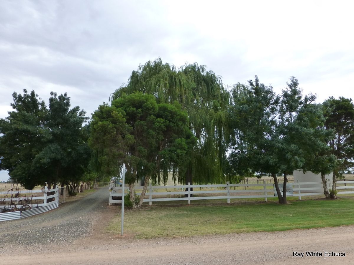 81 Douglas Lane, KOTTA, VIC 3565
