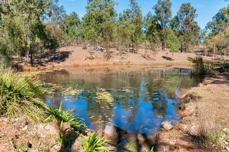 66 Paynes Road, EBENEZER, QLD 4340