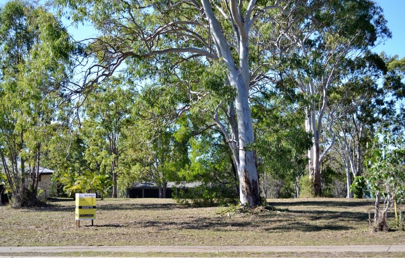 113 Ariadne Street, RIVER HEADS, QLD 4655