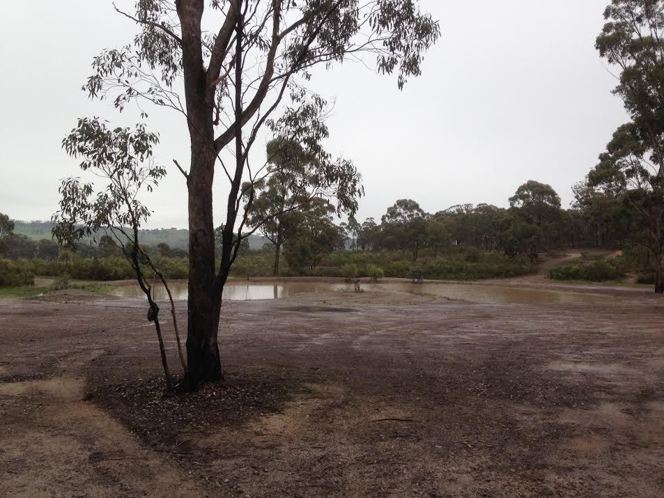 Lot 12 Butler Court, CORNELLA, VIC 3551