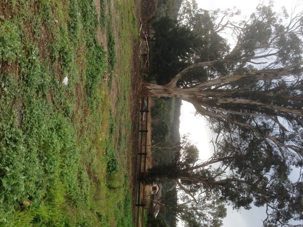 Lot 17, 56 Kym Avenue, LITTLEHAMPTON, SA 5250