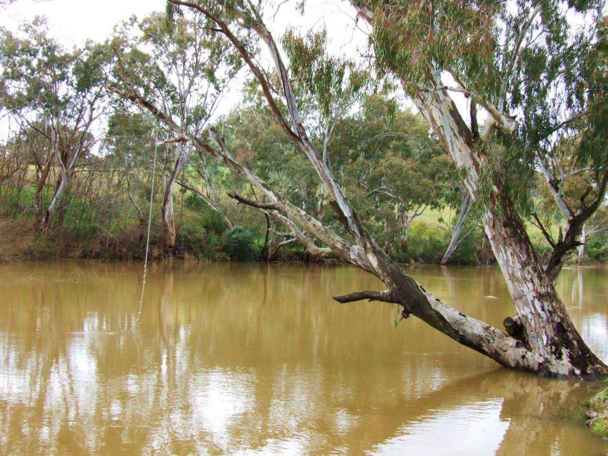 EMERALD, QLD 4720