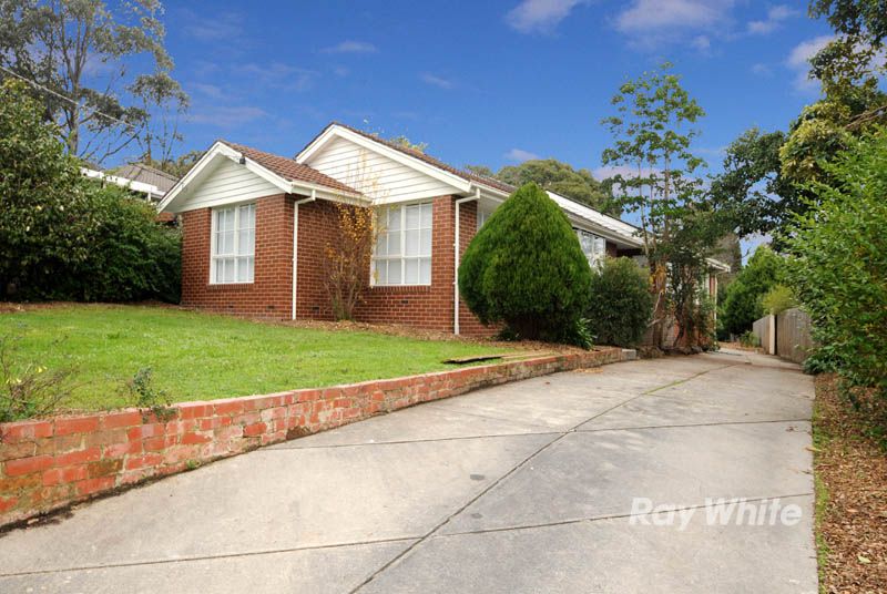 6 Roy Court, BORONIA, VIC 3155