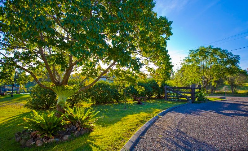 39 Wade Street, DUNGOG, NSW 2420