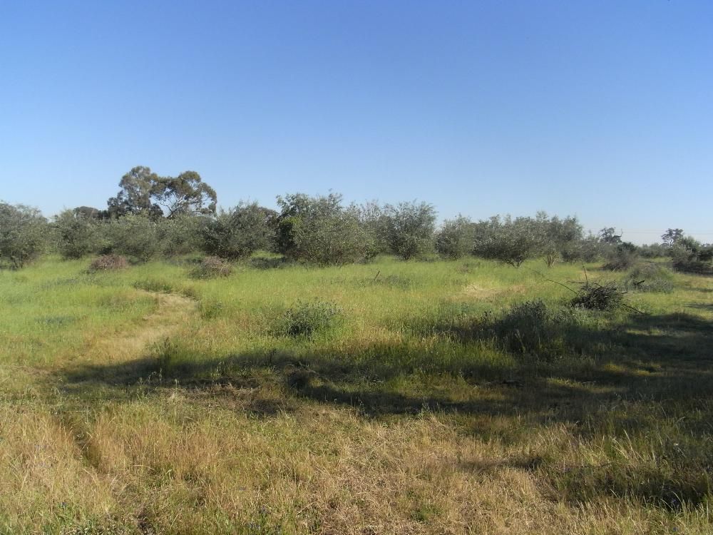 Lot 3 Belmore Street, HOWLONG, NSW 2643