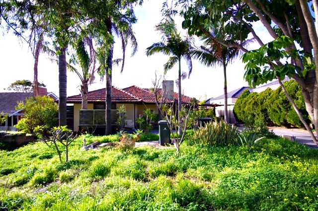 25 Selhurst Way, BALGA, WA 6061