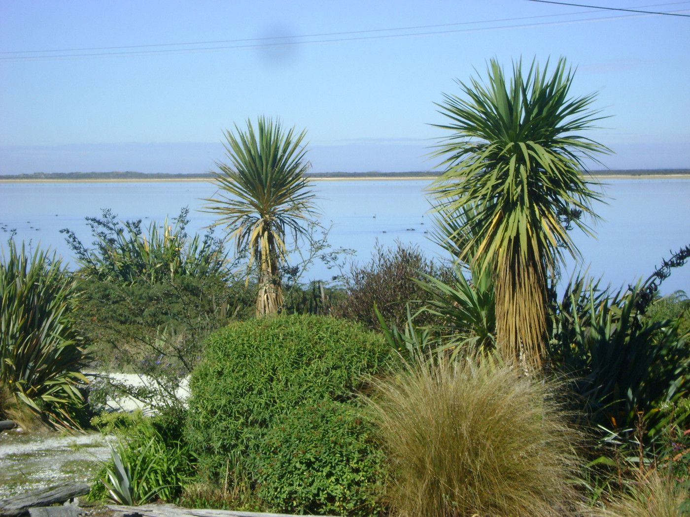51 Awarua Bay Road, BLUFF, Invercargill