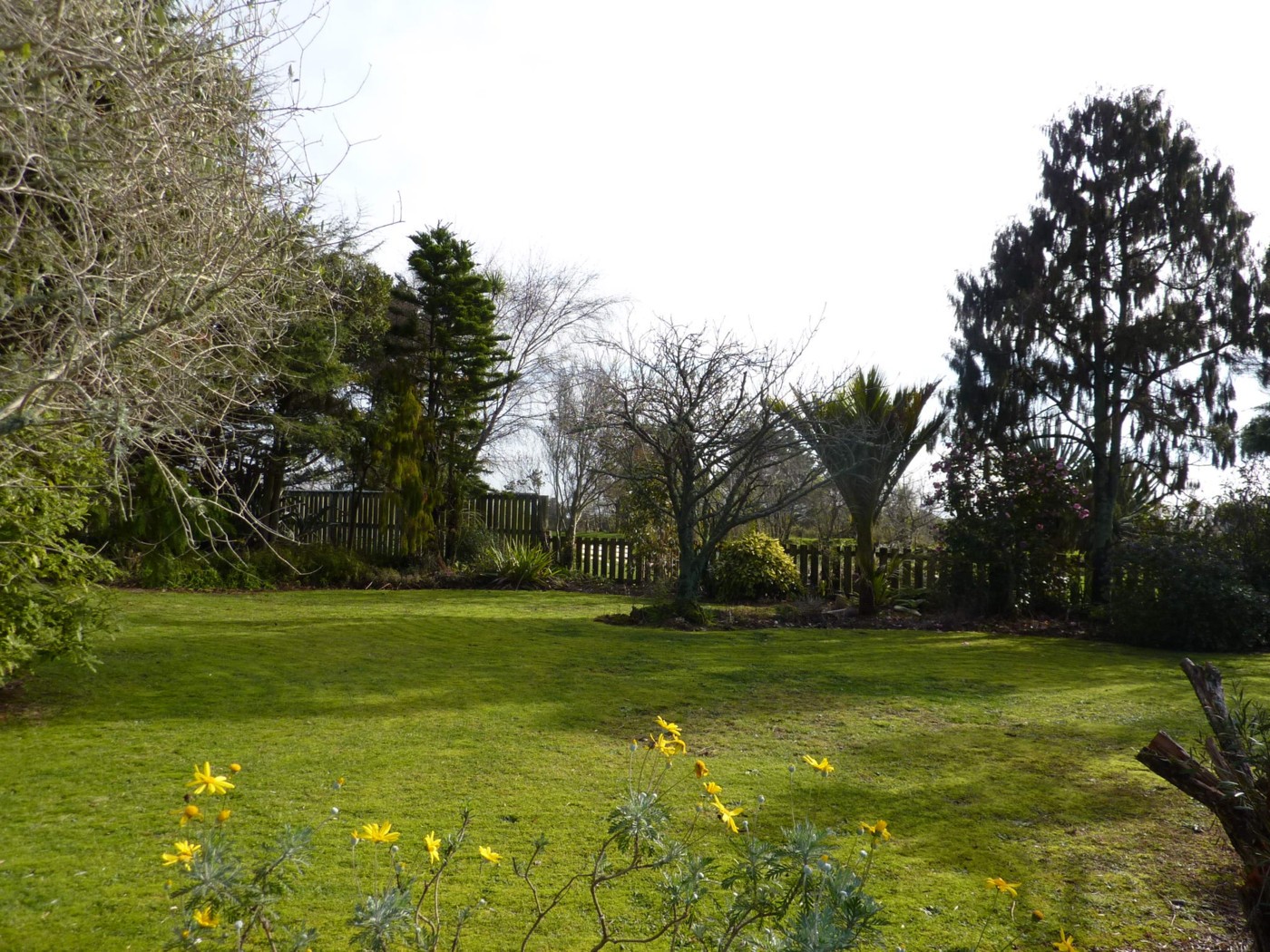 4 Derby Street, WESTPORT, Buller District