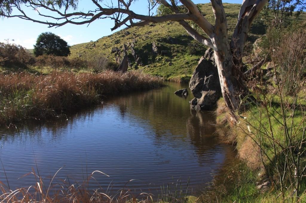 789 Bremer Valley Road, ROCKLEIGH, SA 5254
