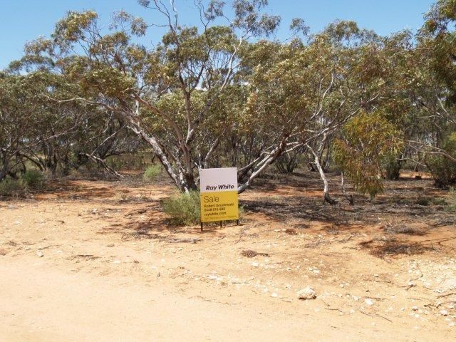 16 and 17 Ridgeway Street, Maggea, SA 5311