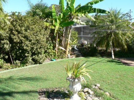 14  Pettitt Avenue, TAREE, NSW 2430
