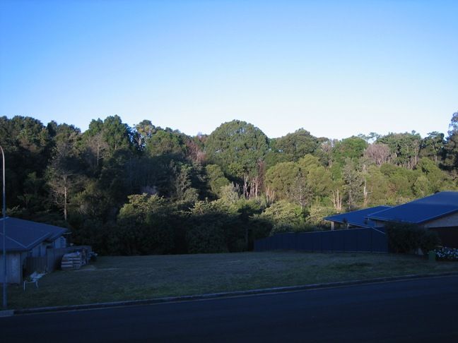 41 Just Street, GOONELLABAH, NSW 2480
