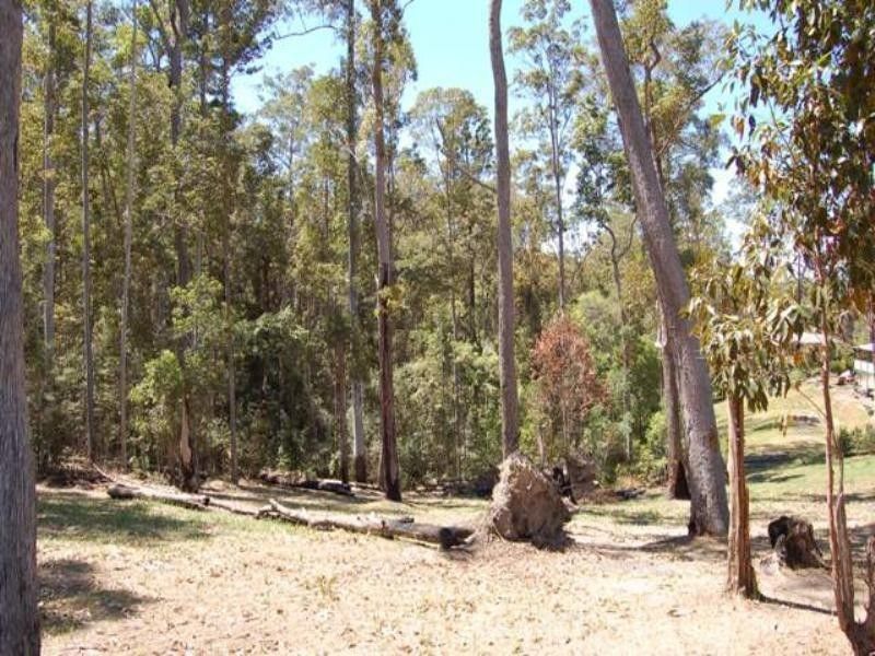 42 Whitewood Court, LAKE MACDONALD QLD 4563