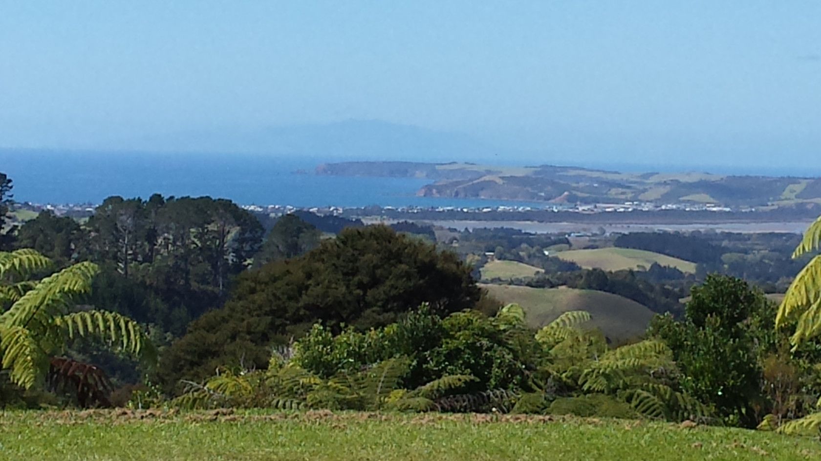 MATAKANA, Rodney