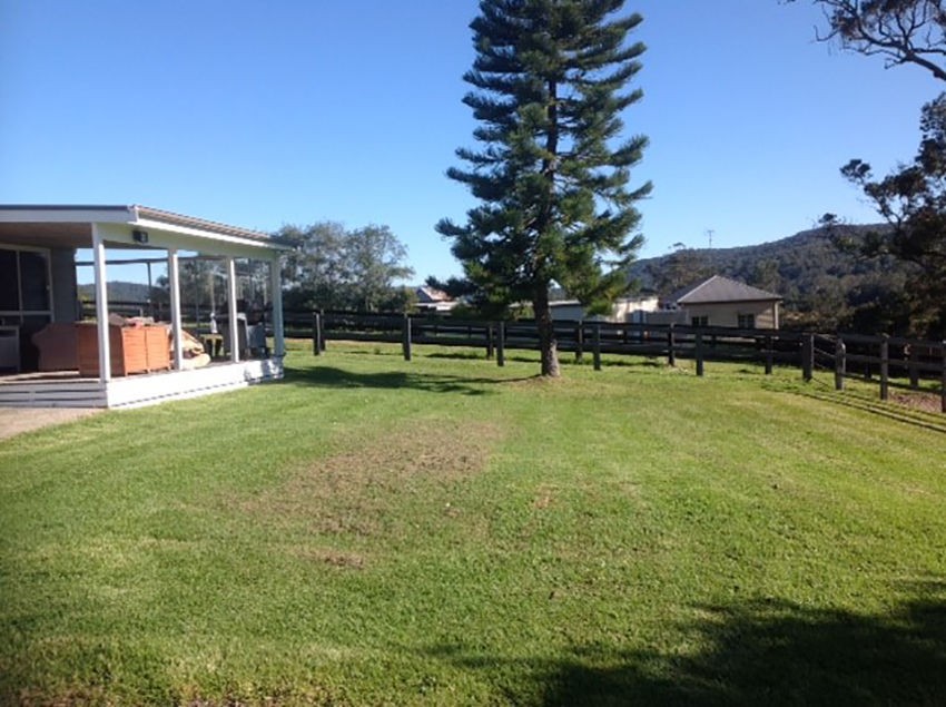 253 Yarramalong Road, WYONG CREEK, NSW 2259
