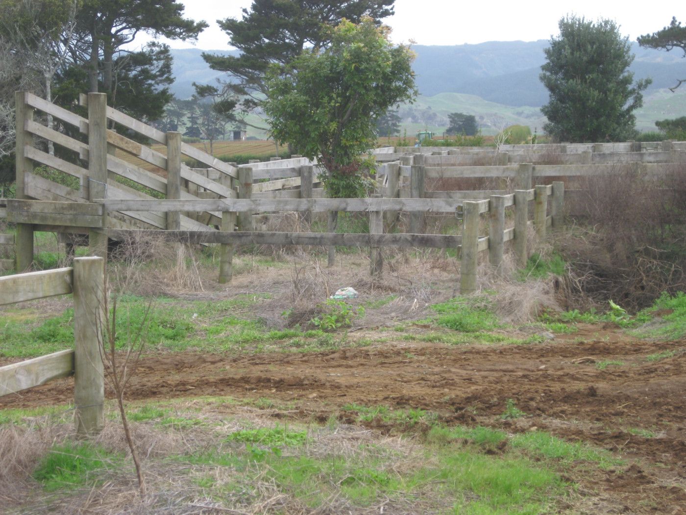 360 Wairamarama Road, Onewhero, Franklin