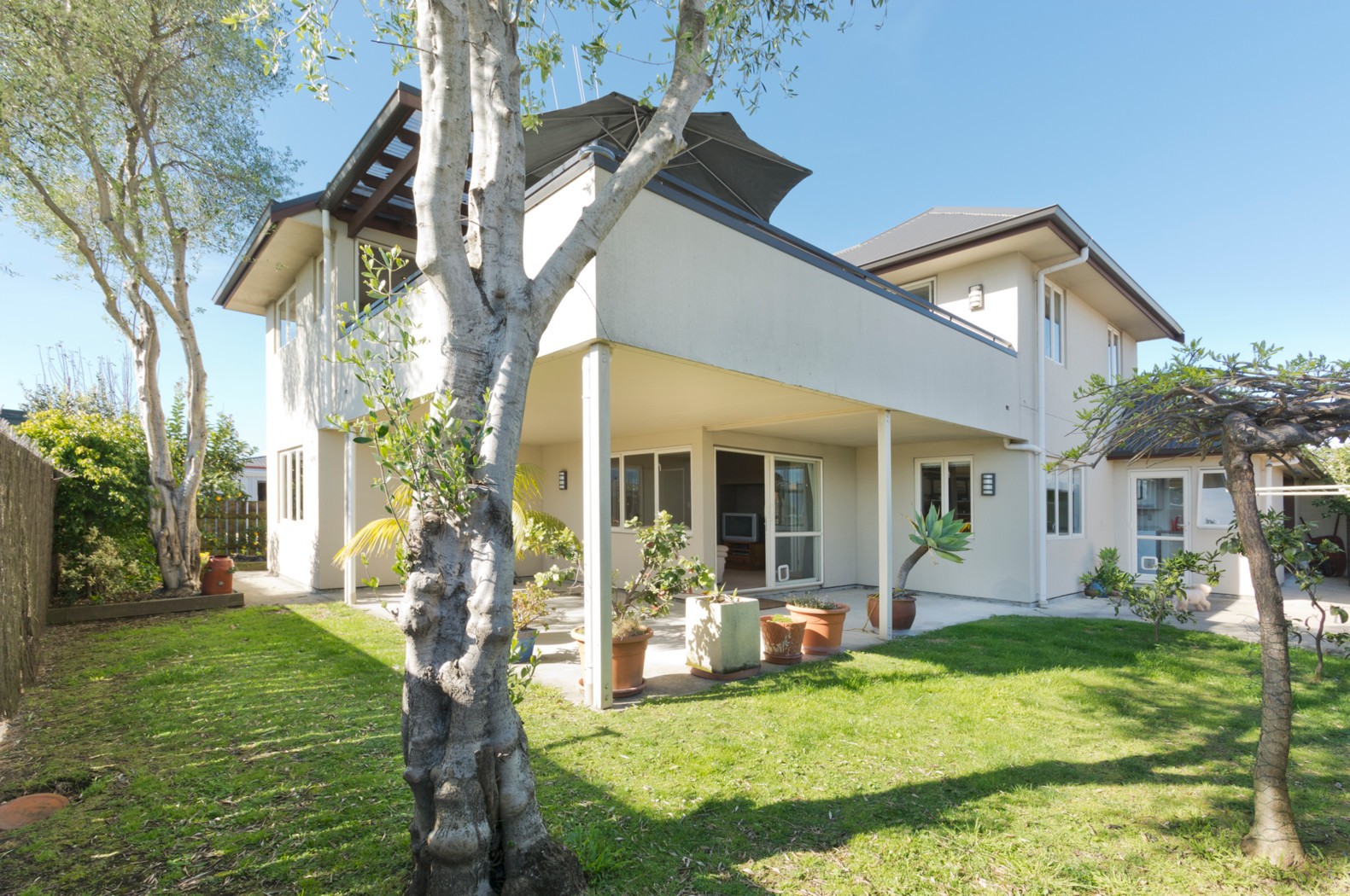 15 Twelfth Avenue, AVENUES, Tauranga City