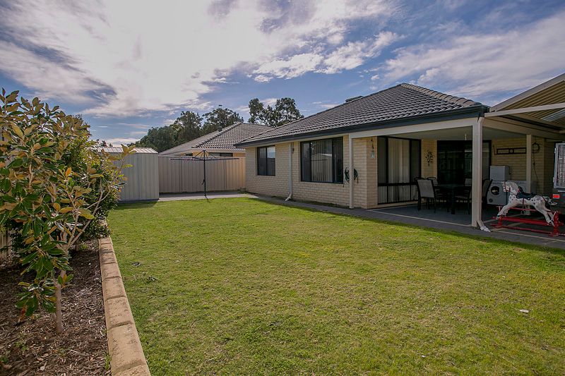 17 Cara Way, WATTLE GROVE, WA 6107