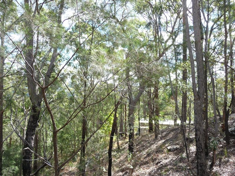 323 Mooloolah Road, EUDLO QLD 4554