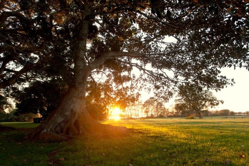 Lots 128 132 Cabbage Tree Island, Old Bar, NSW Residential House Sold