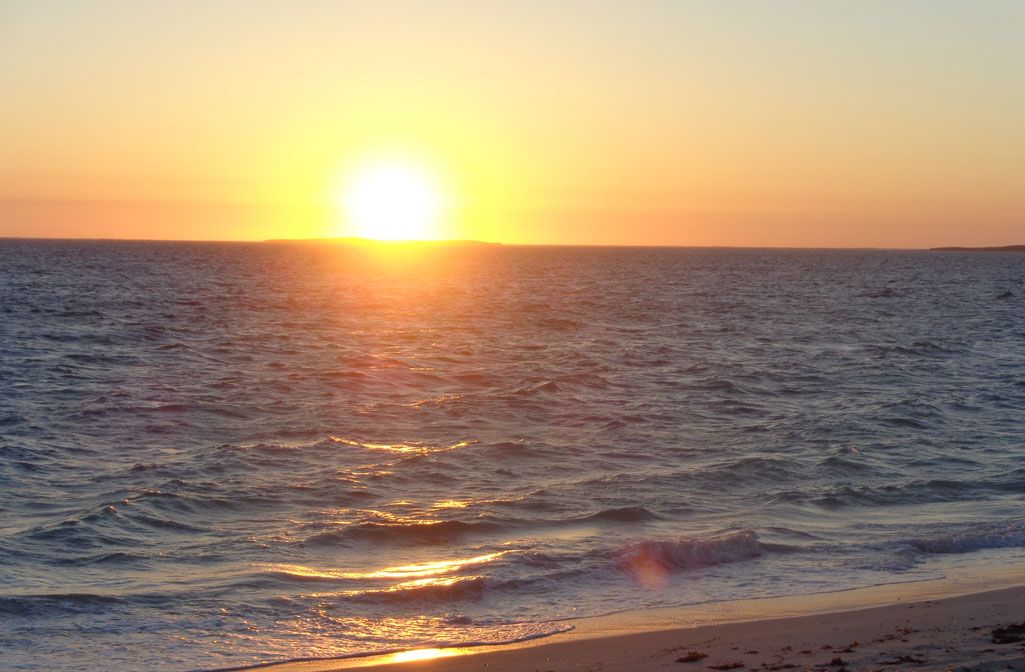 Lot 531, 21 Dryandra Boulevard, JURIEN BAY, WA 6516