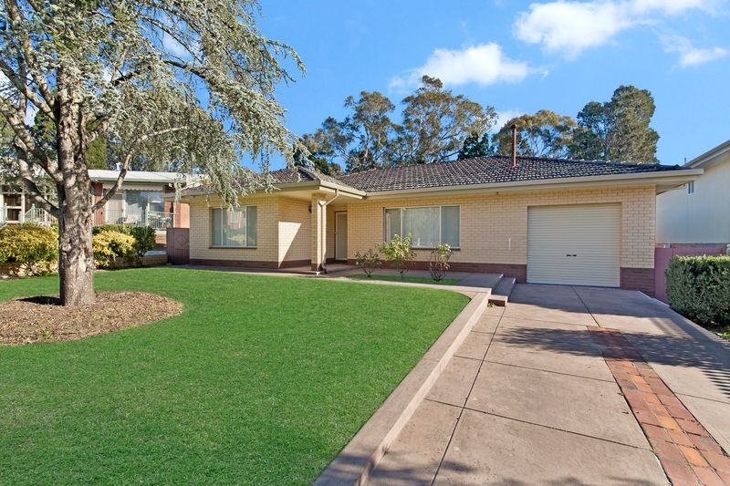 4 Vizma Court, BANKSIA PARK SA 5091