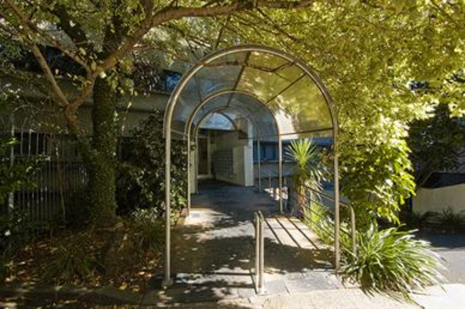 Auckland Central, Auckland City