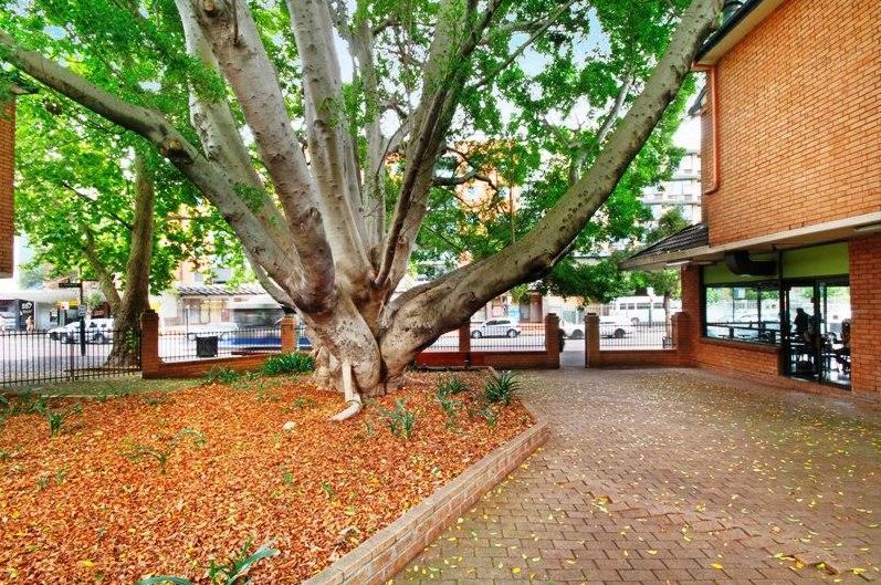 48/492 Elizabeth Street, SURRY HILLS, NSW 2010
