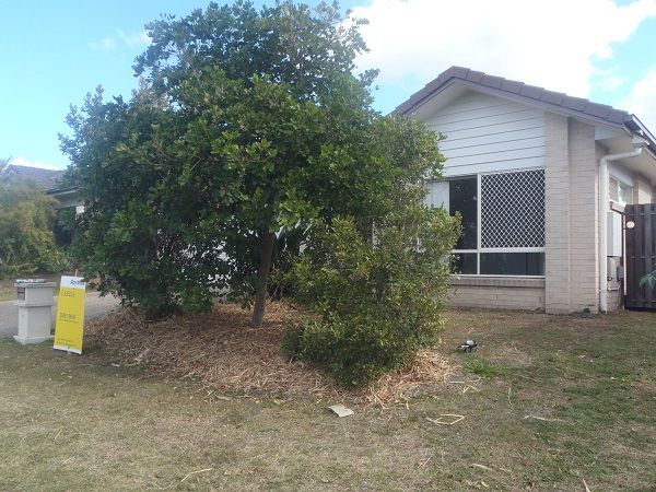 14 Wright Avenue, REDBANK PLAINS, QLD 4301