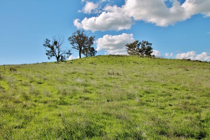132 Dowling Drive Murringo, via, YOUNG, NSW 2594