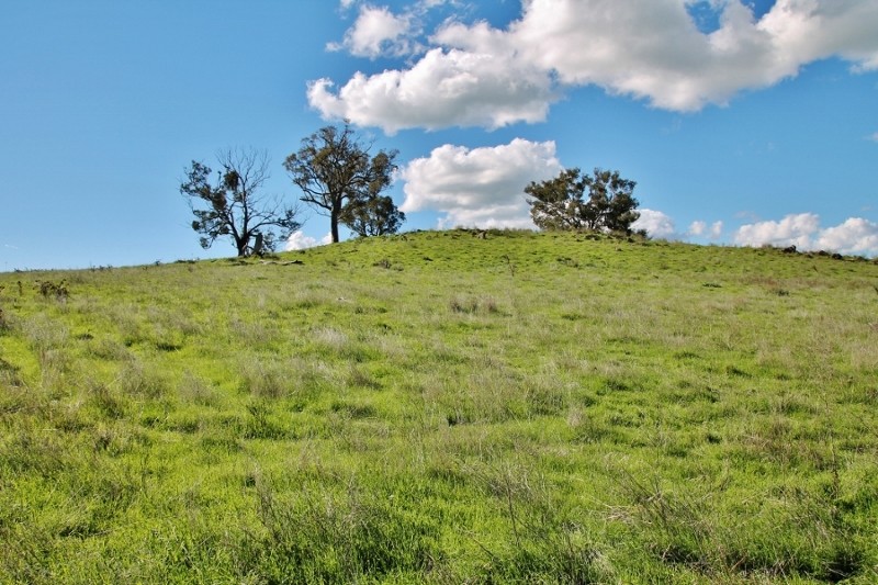 132 Dowling Drive Murringo, via, YOUNG, NSW 2594