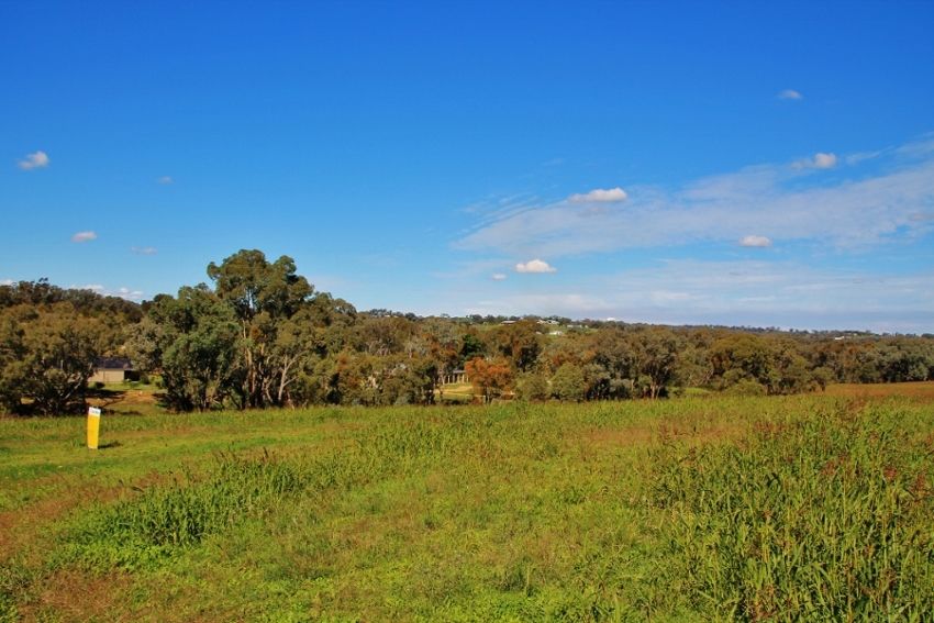 96 Hills Street, YOUNG, NSW 2594
