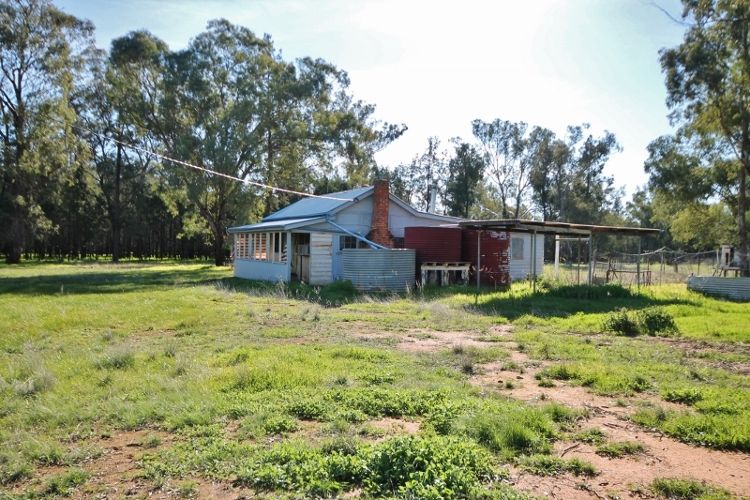 4244 Bribbaree Road, BRIBBAREE, NSW 2594