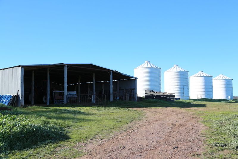 105 Peakview Road, YOUNG, NSW 2594