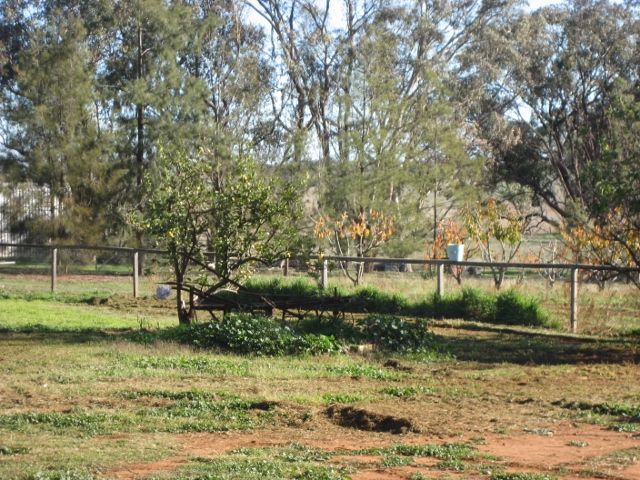 876 Boundary Road, YOUNG, NSW 2594