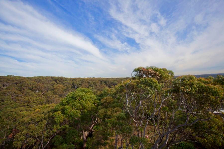 45 Beachcomber Avenue, BUNDEENA NSW 2230