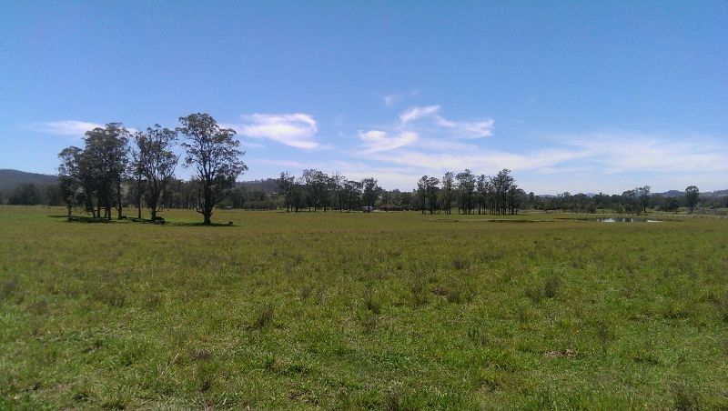 Lot 21, 1397 Dungog Road, Dungog, NSW 2420
