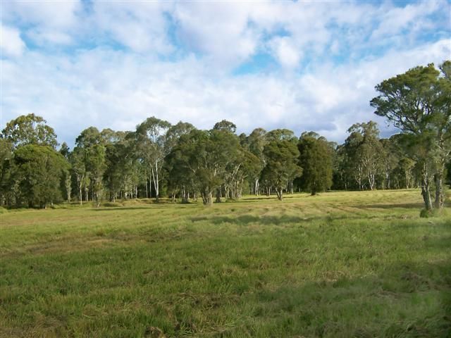 36 Browns Road, MANDALONG NSW 2264