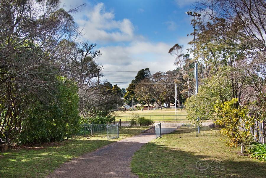 58 Clanwilliam Street, BLACKHEATH, NSW 2785