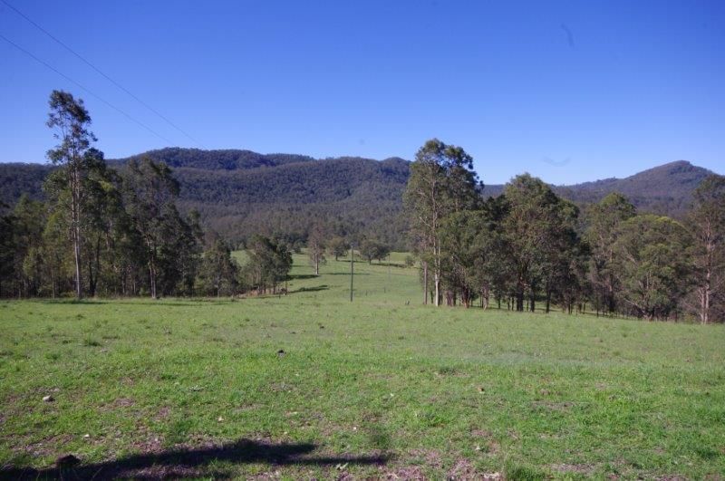 994 Nowendoc Road, MOUNT GEORGE, NSW 2424