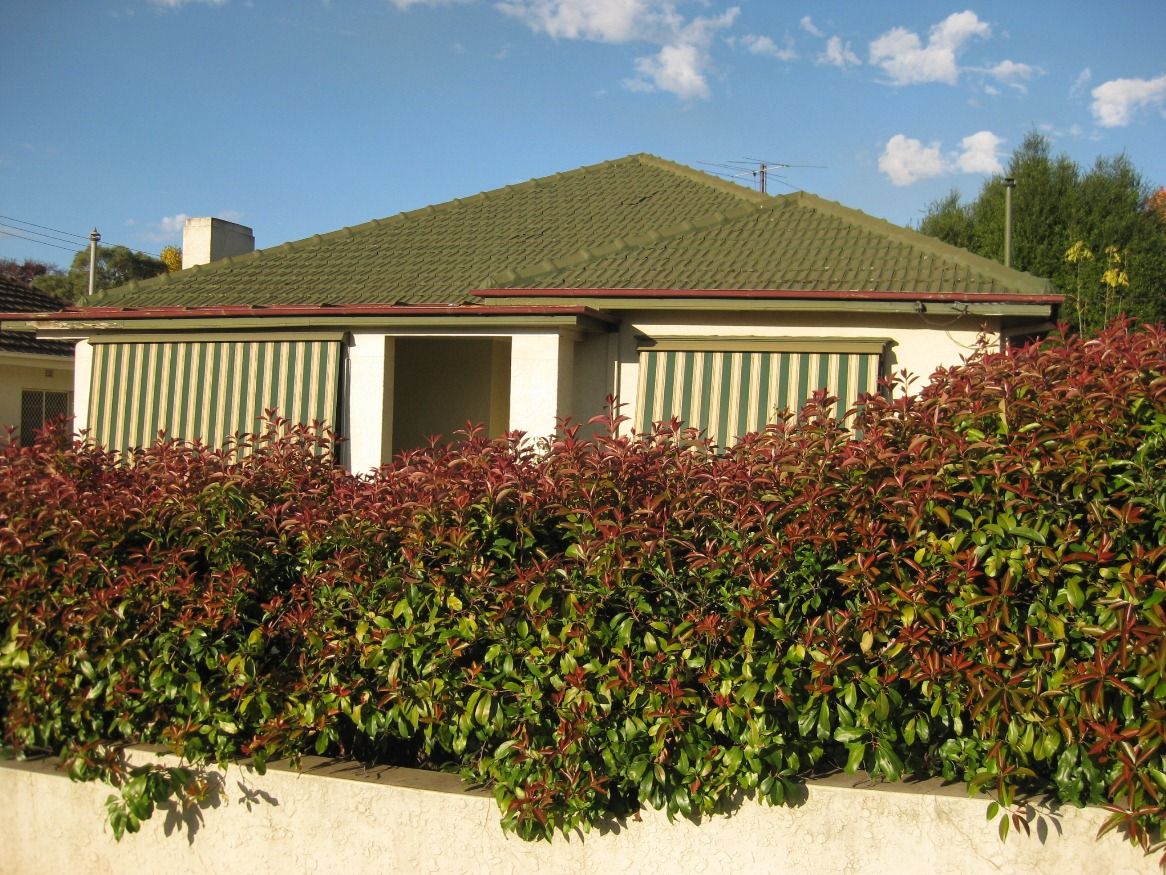 37 Mitchelmore Street, WAGGA WAGGA, NSW 2650