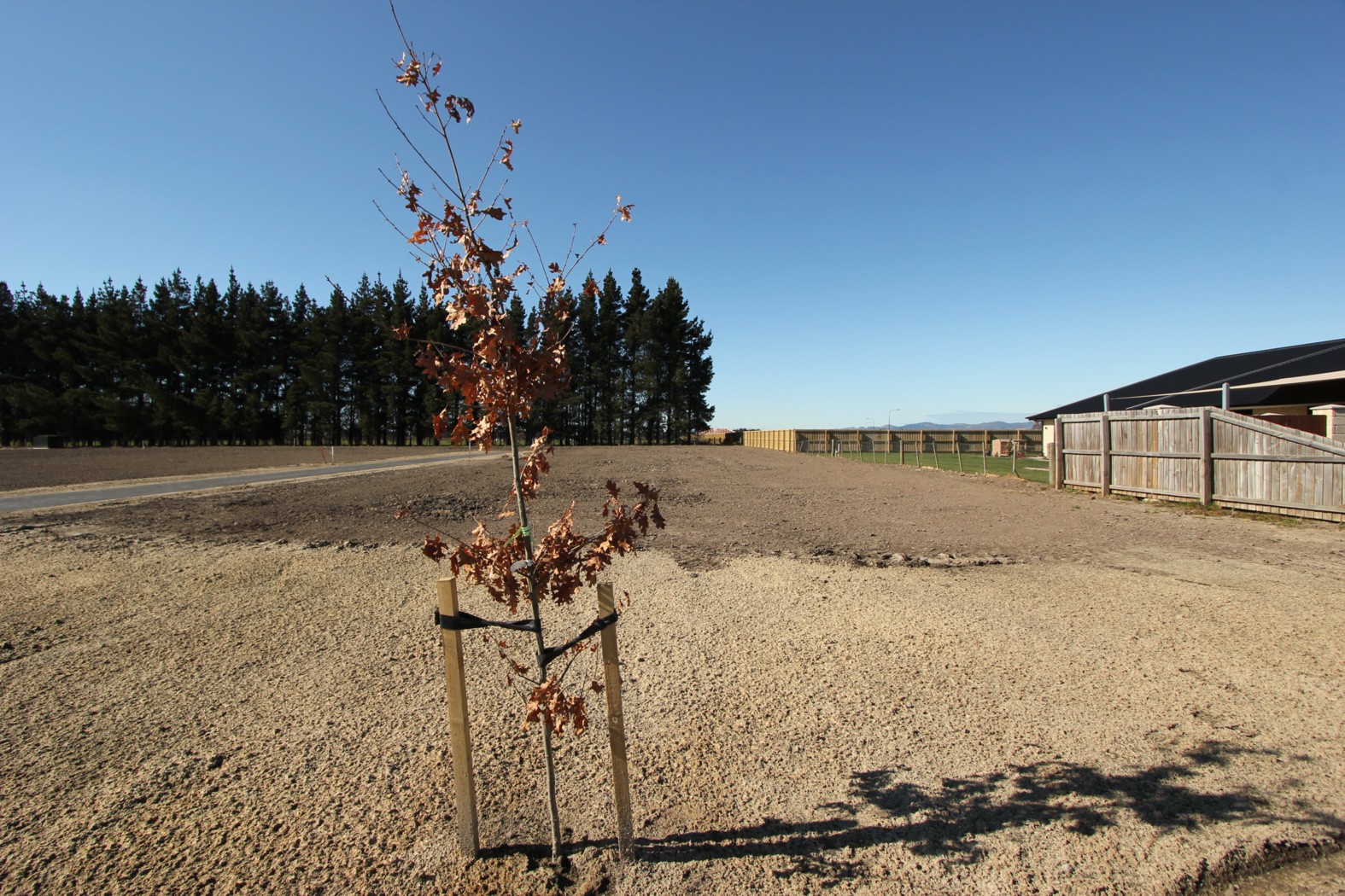 Lot 27 Mayfair Subdivision, ROLLESTON, Selwyn District