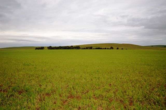Braefoot Road, HANSON, SA 5417