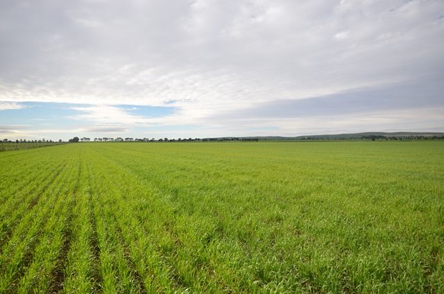 Lot 3-Ashmore Smith Road, MINTARO, SA 5415