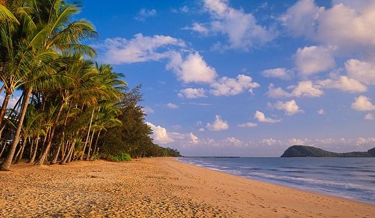 PALM COVE, QLD 4879