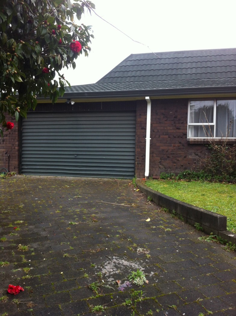 50 Exeter Street, GLENVIEW, Hamilton City