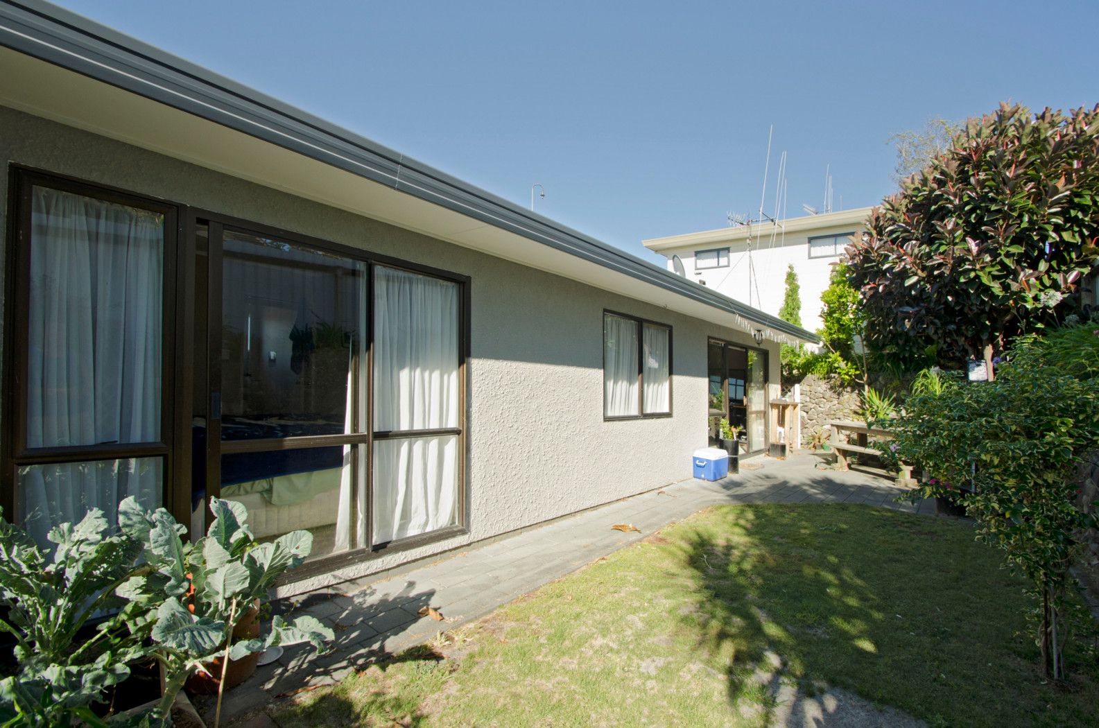 11b Chester Street, Judea, Tauranga City