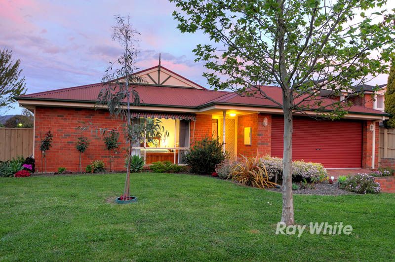 1 Lorikeet Court, BORONIA VIC 3155